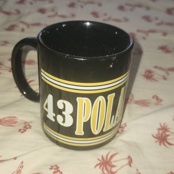 Pittsburgh Steelers Troy Polamalu 43 Mug - Picture 1 of 4